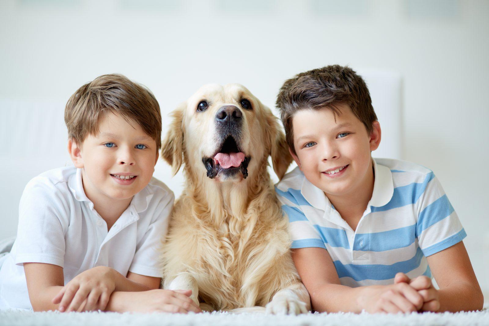 Midtown Pet Owners Master City Living: 7 Essential Tips