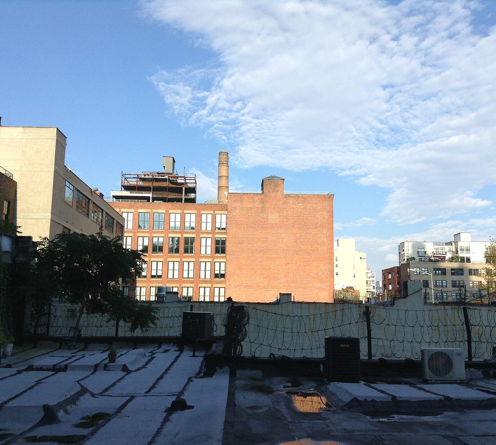 Dumbo, Brooklyn, NY 11201, USA panoramio (2)