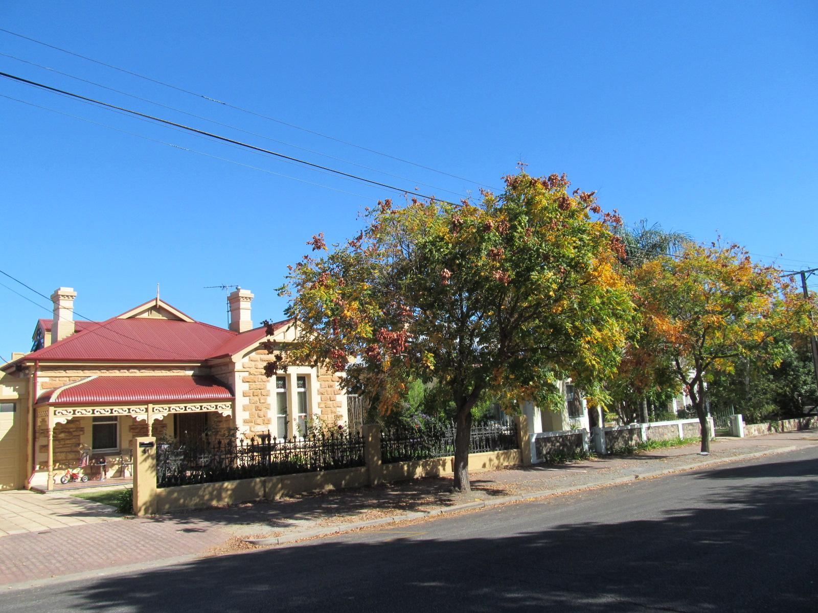OIC unley houses on edmund street