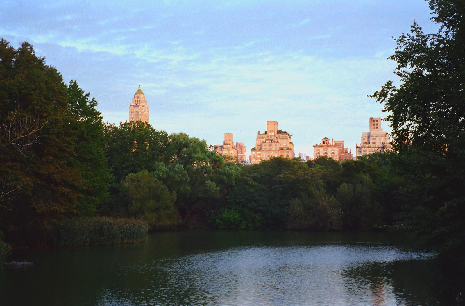 Drink Up, Upper East Side: What the Summer Heat Is Actually Doing to Your Body