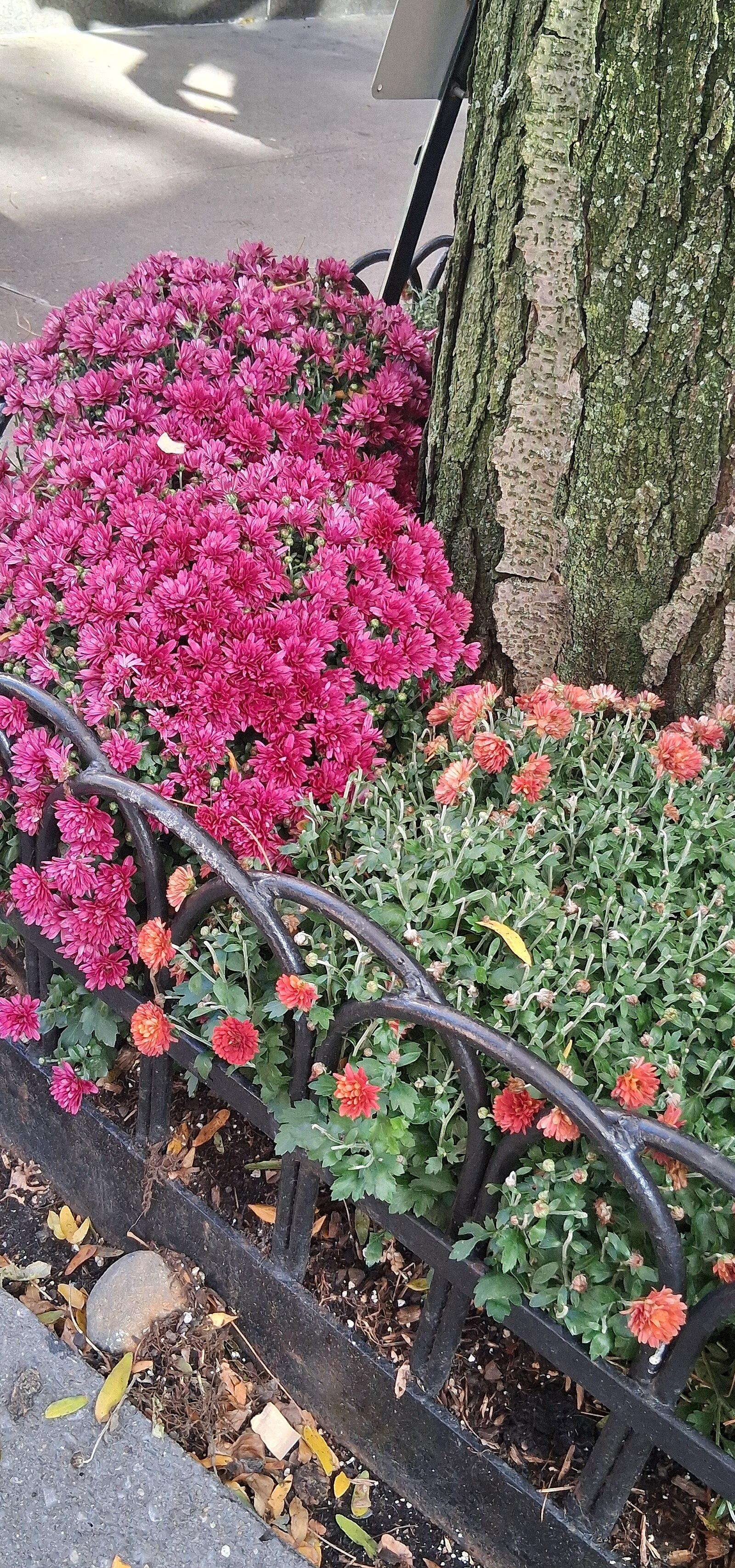 Upper West Side November 2025
