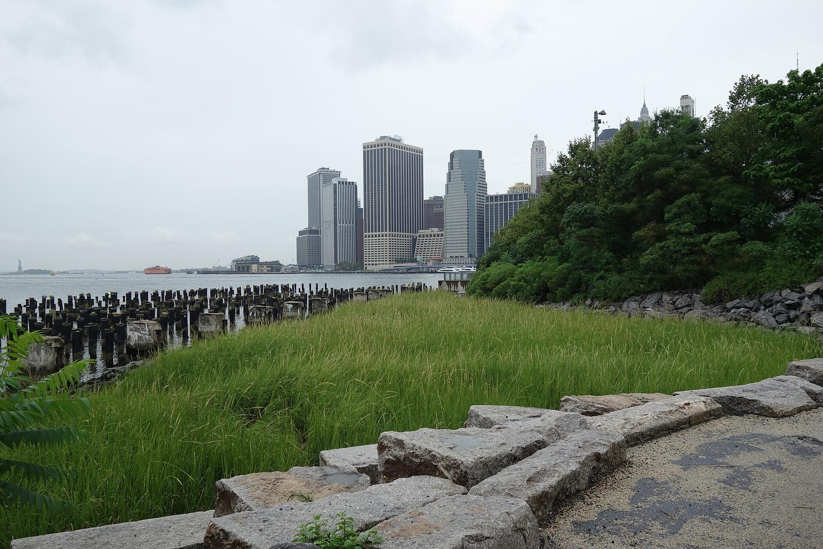 Free 5K Races Draw Hundreds to DUMBO Waterfront Weekly