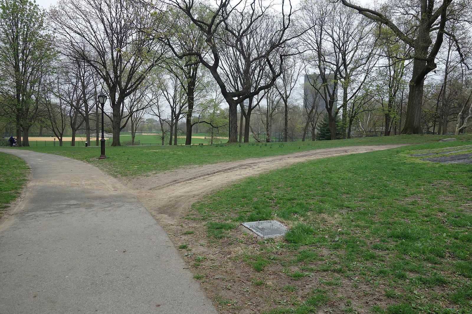 Central Park North Meadow td (2019 04 18)