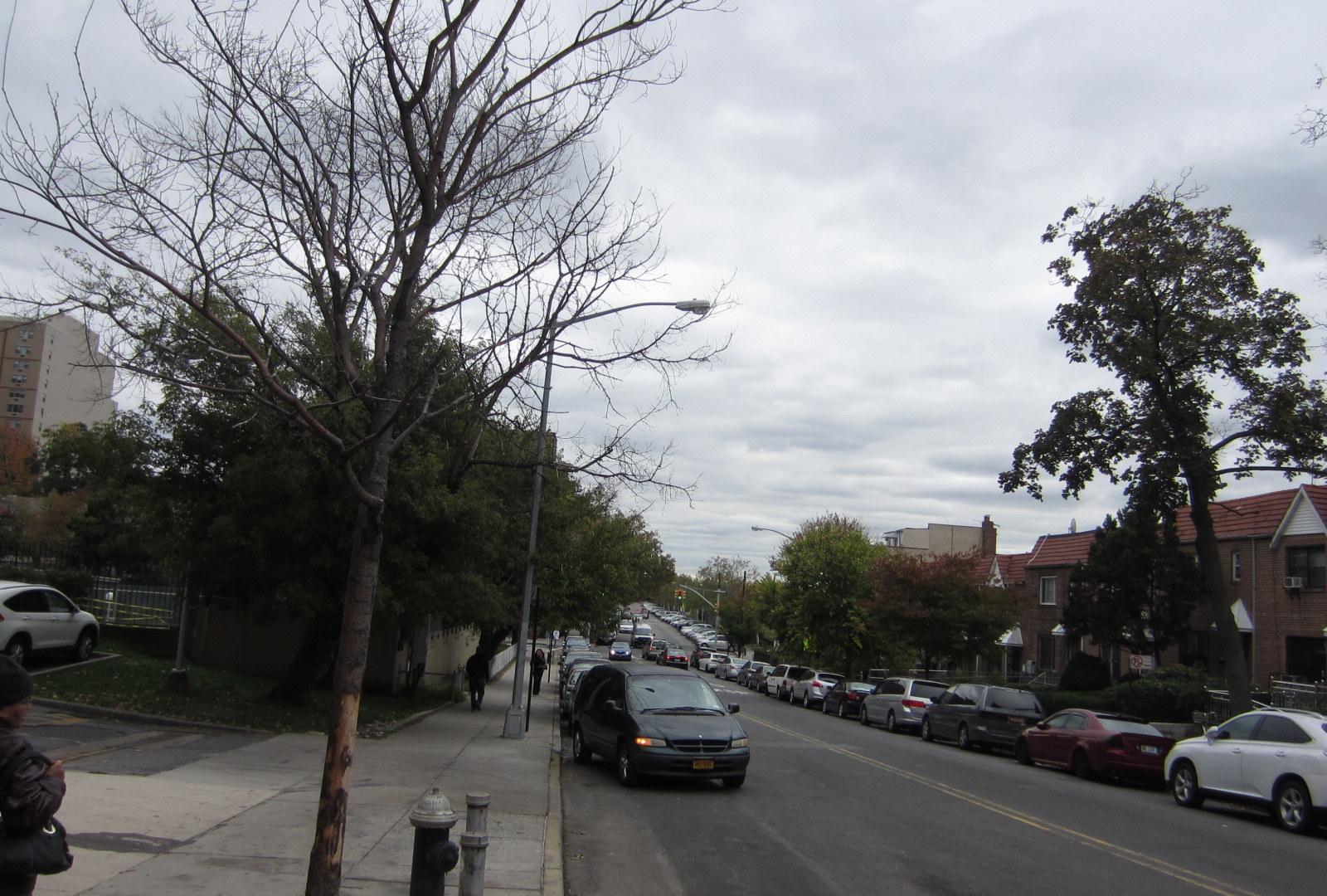 Flushing, Queens, NY, USA panoramio (7)