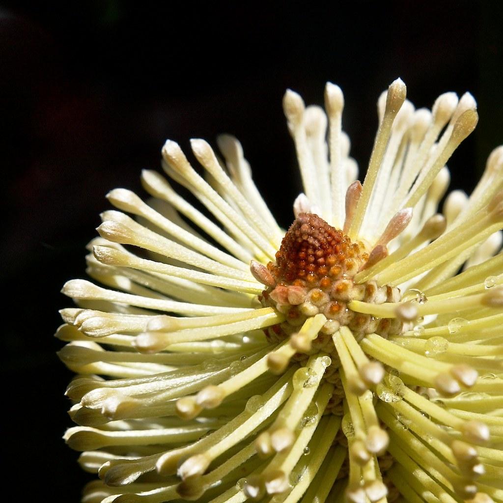 SoHo Mayor Rolls Out 2026 Local Services Reallocation Ordinance, Shifting Resident Permit and Fee Structures