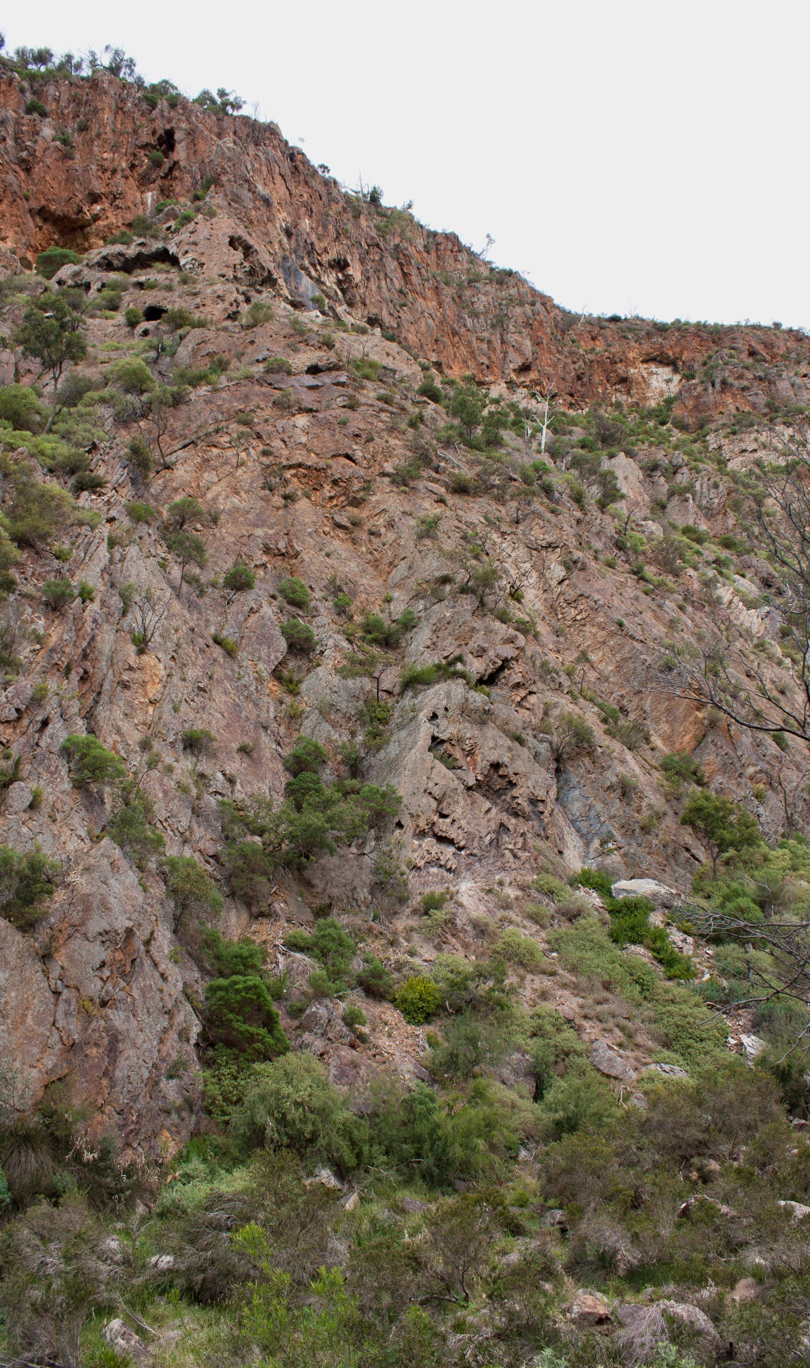 Daintree Cliffs, Werribee Gorge State Park, Victoria Australia