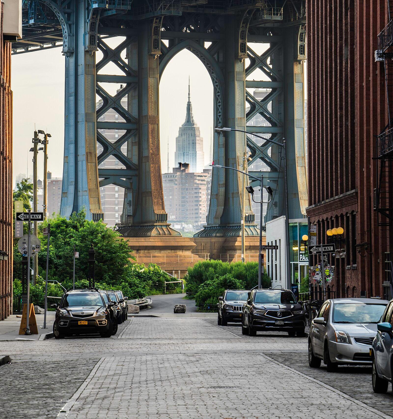 Dumbo Empire